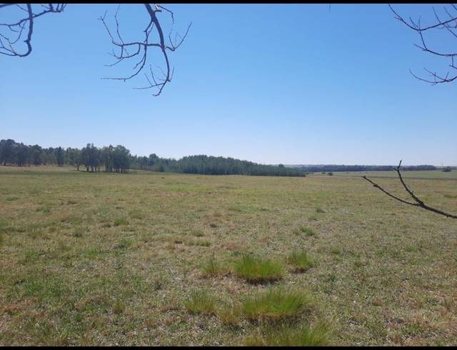 FARM FOR SALE IN RAYTON